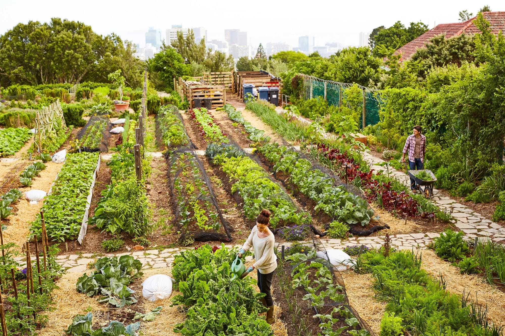 GARDENER’S SUPPLY : Smart Gardening Tools, Planters & Outdoor Growing Solutions for Every Home Garden