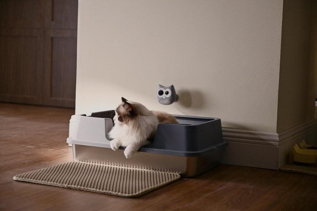 SIIPET: AI-Powered Pet Health Monitoring for Smarter, Safer Cat Care