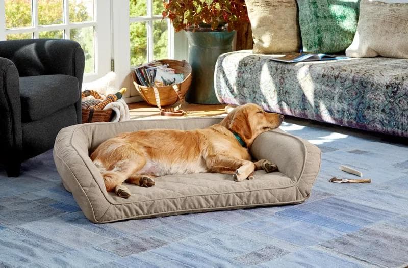 PELSBARN: Premium Dog Comfort Products Designed for Happier & Healthier Pets