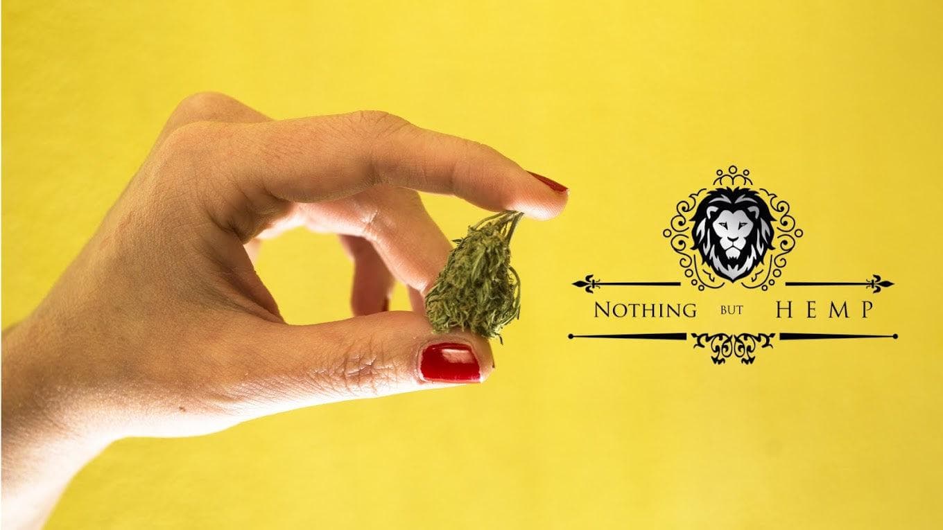Nothing But Hemp: Premium Hemp-Derived Cannabis Products for Modern Relaxation & Wellness
